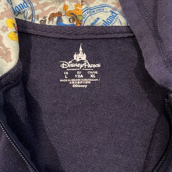 Disney Parks Disneyland Attraction Opening Dates Hooded Zip-up Sweatshirt - Picture 3 of 6